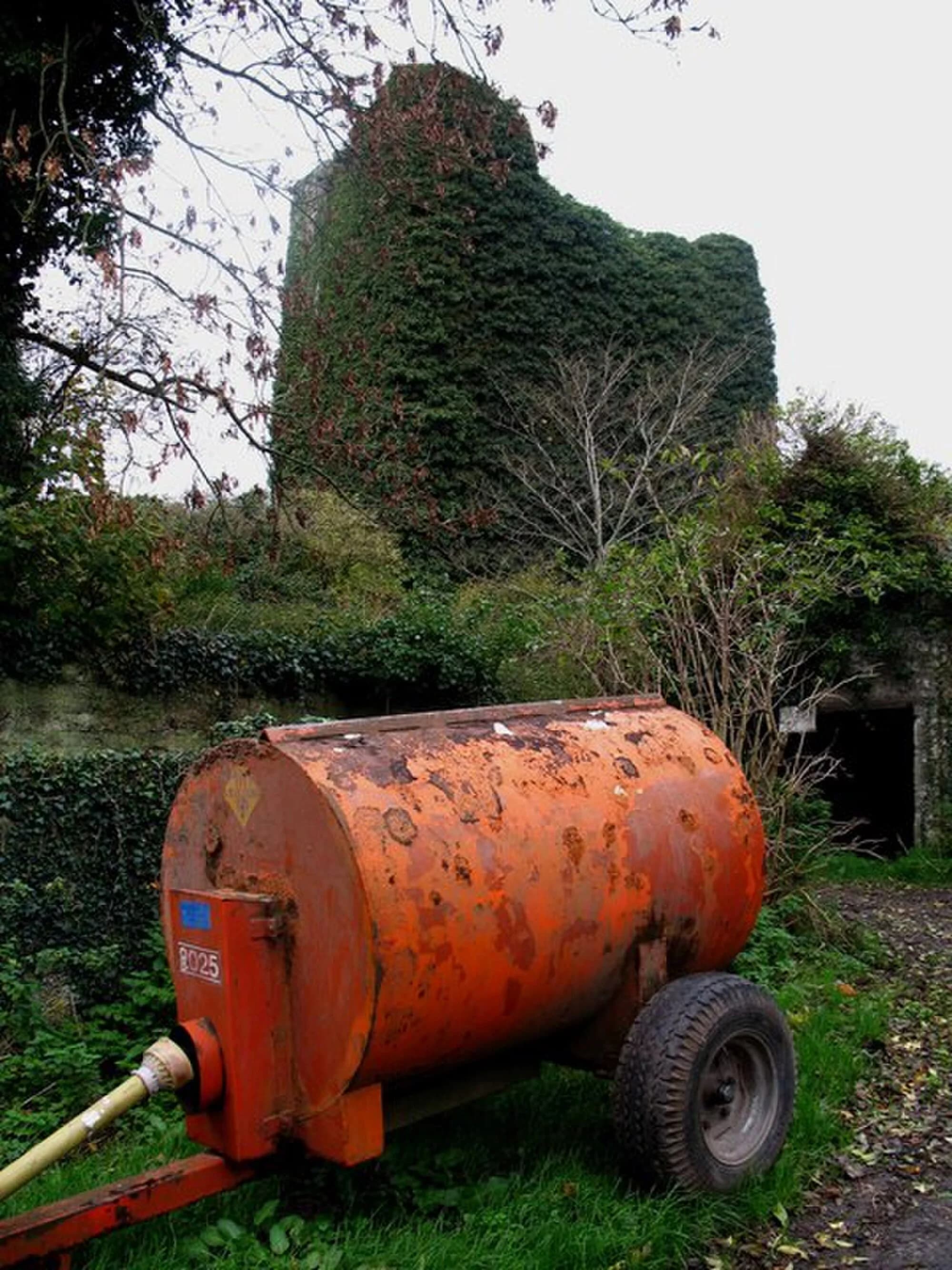 Vets in Caherconlish